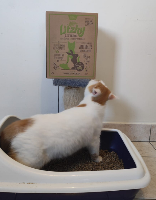 Eizhy - Litière Végétale et Compostable Litzhy à base de Paille de Colza - Imagen 3