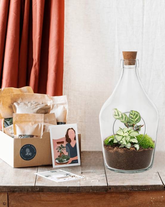 La Green Touch - Kit Terrarium Diy - H30cm - Image 4