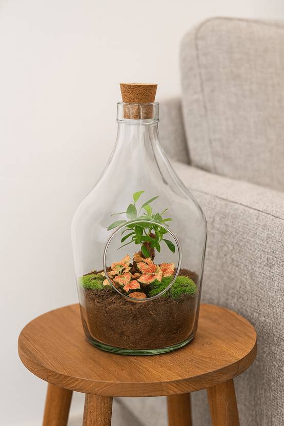 La Green Touch - Kit Terrarium Diy - H30cm - Image 2