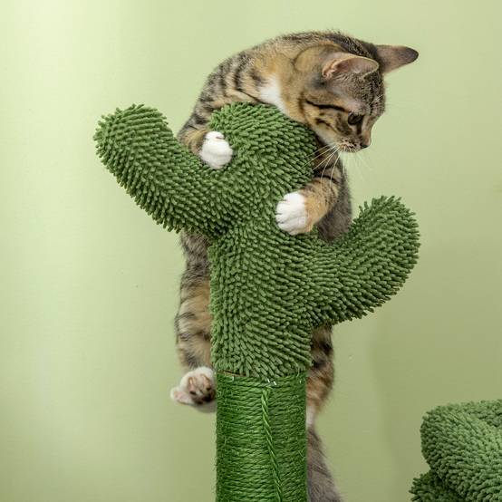 Arbre à Chat Design Cactus avec Niche et Griffoir Sisal pour Petit Chat 67 cm Vert - ComfortXL Outdoor Living - Image 10