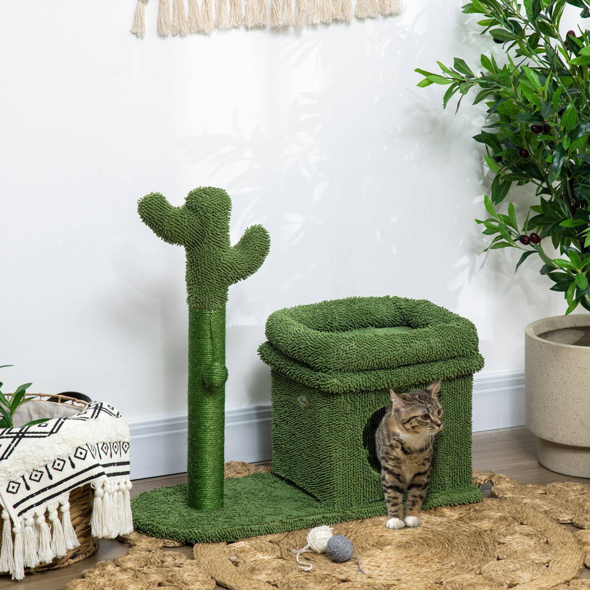 Arbre à Chat Design Cactus avec Niche et Griffoir Sisal pour Petit Chat 67 cm Vert - ComfortXL Outdoor Living - Image 4