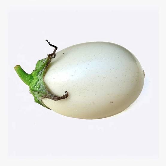 60 Graines d'Aubergine White Egg - SemiSauvage Permaculture - Image 1