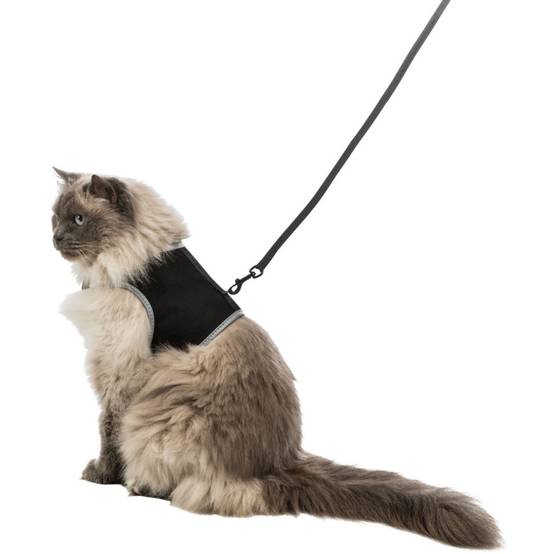 Harnais soft XXL avec laisse pour grand chat - Image 3