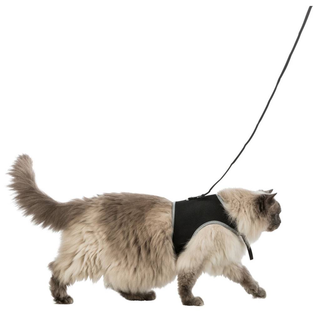 Harnais soft XXL avec laisse pour grand chat - Image 1