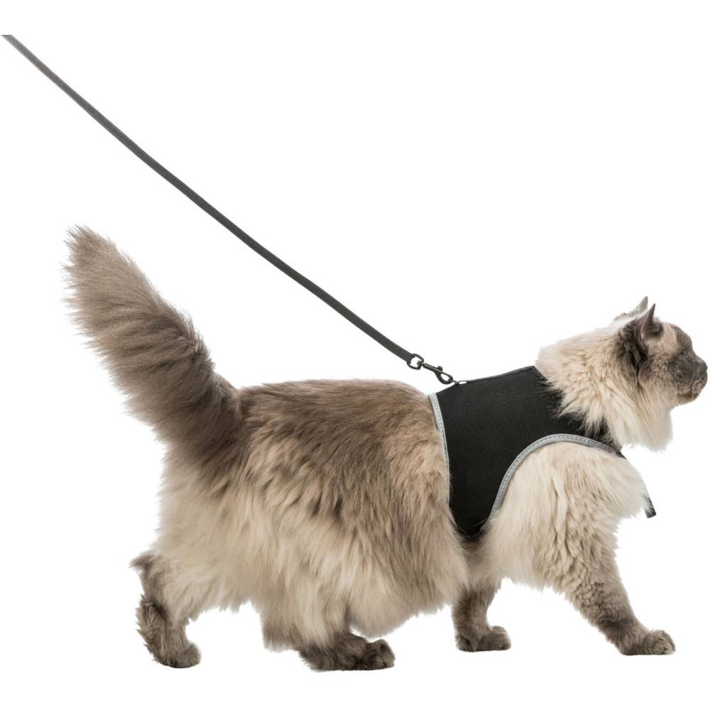 Harnais soft XXL avec laisse pour grand chat - Imagen 4