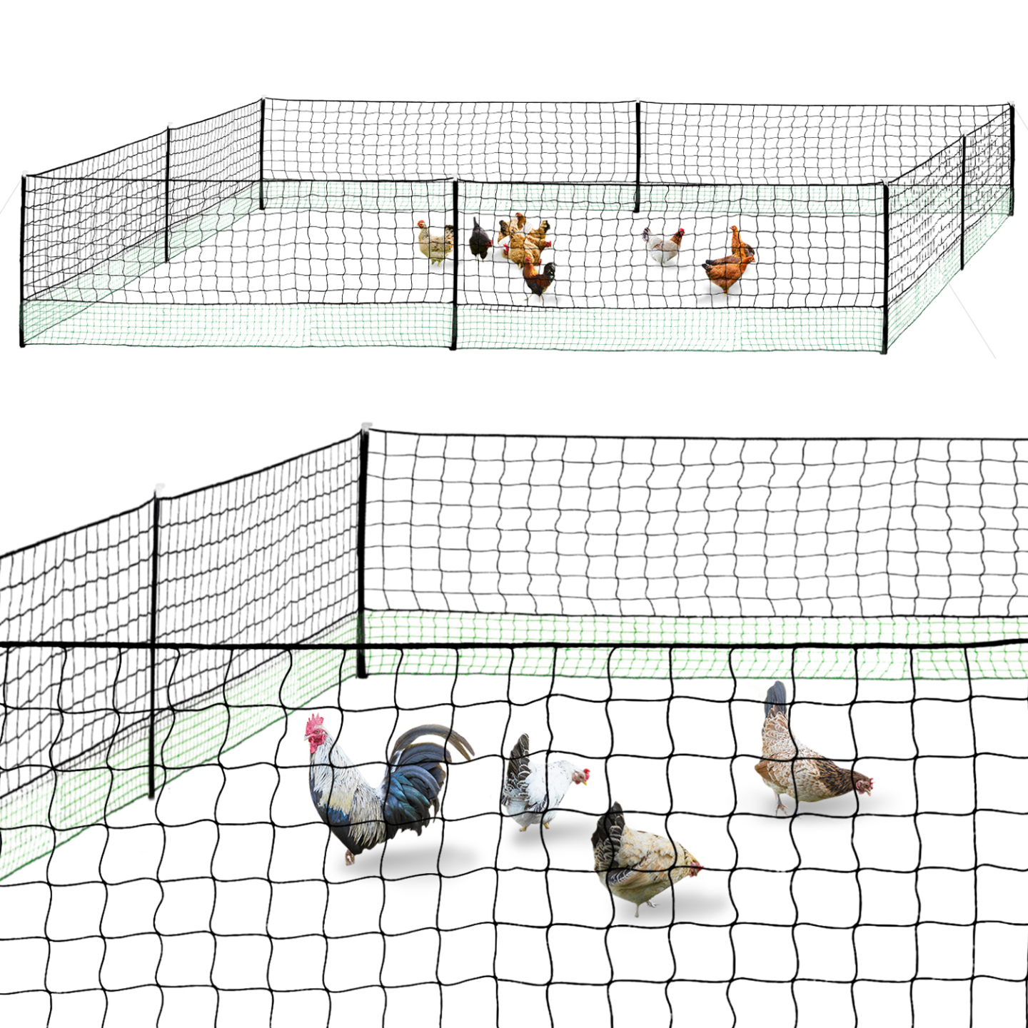 Kit Clôture Filet à Poules 24 m avec porte et 9 piquets double pointe – IDMarket - Image 2