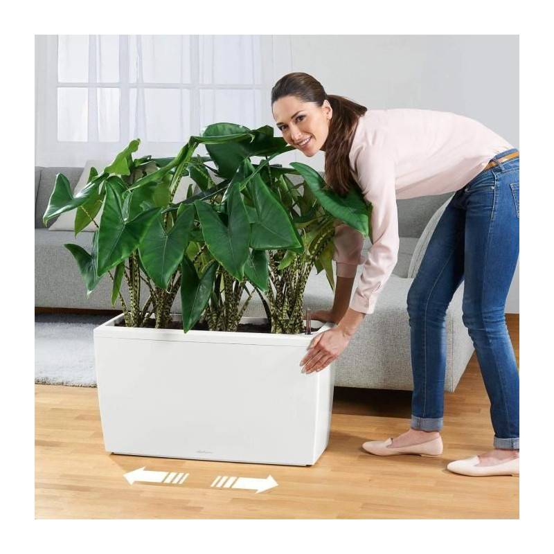 Lechuza - Pot De Fleur Lechuza Cararo Premium - Kit Complet, Noir Brillant - Imagen 3