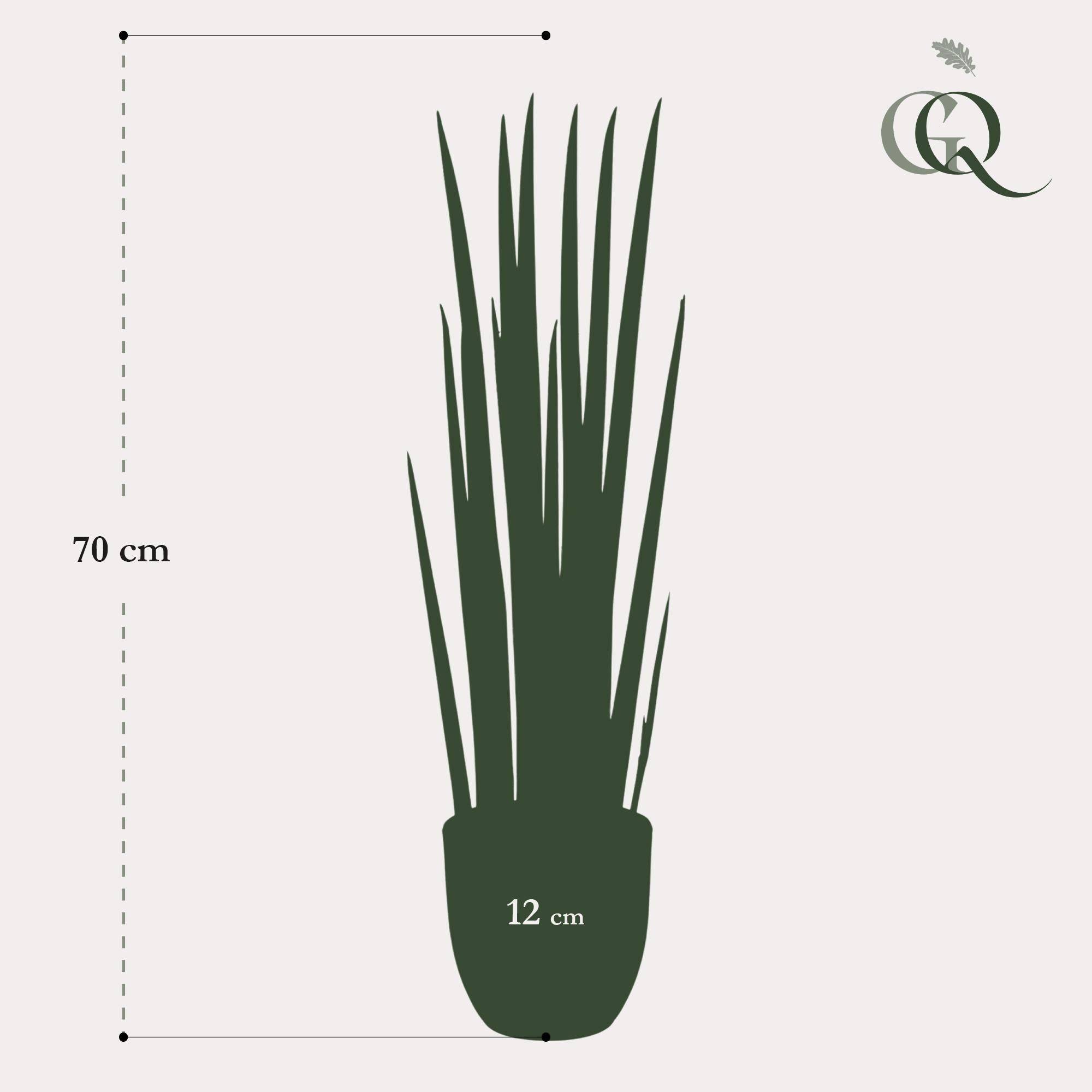 La Green Touch - Sansevieria Cylindrica plante artificielle- h70cm, Ø12cm- La Green Touch - Imagen 5