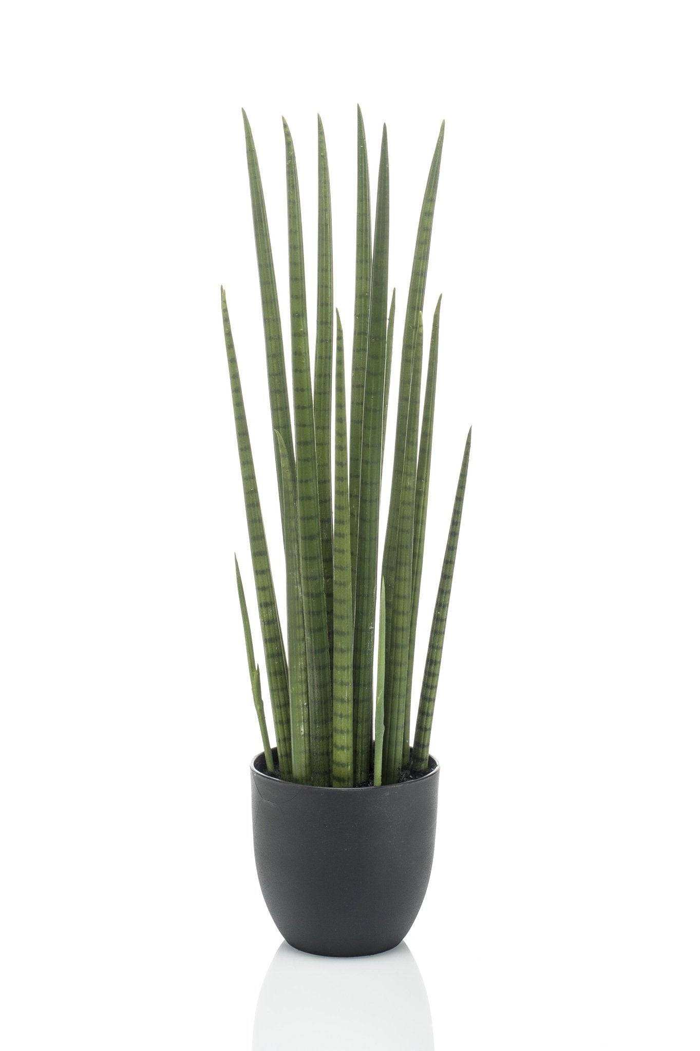 La Green Touch - Sansevieria Cylindrica plante artificielle- h70cm, Ø12cm- La Green Touch - Imagen 6