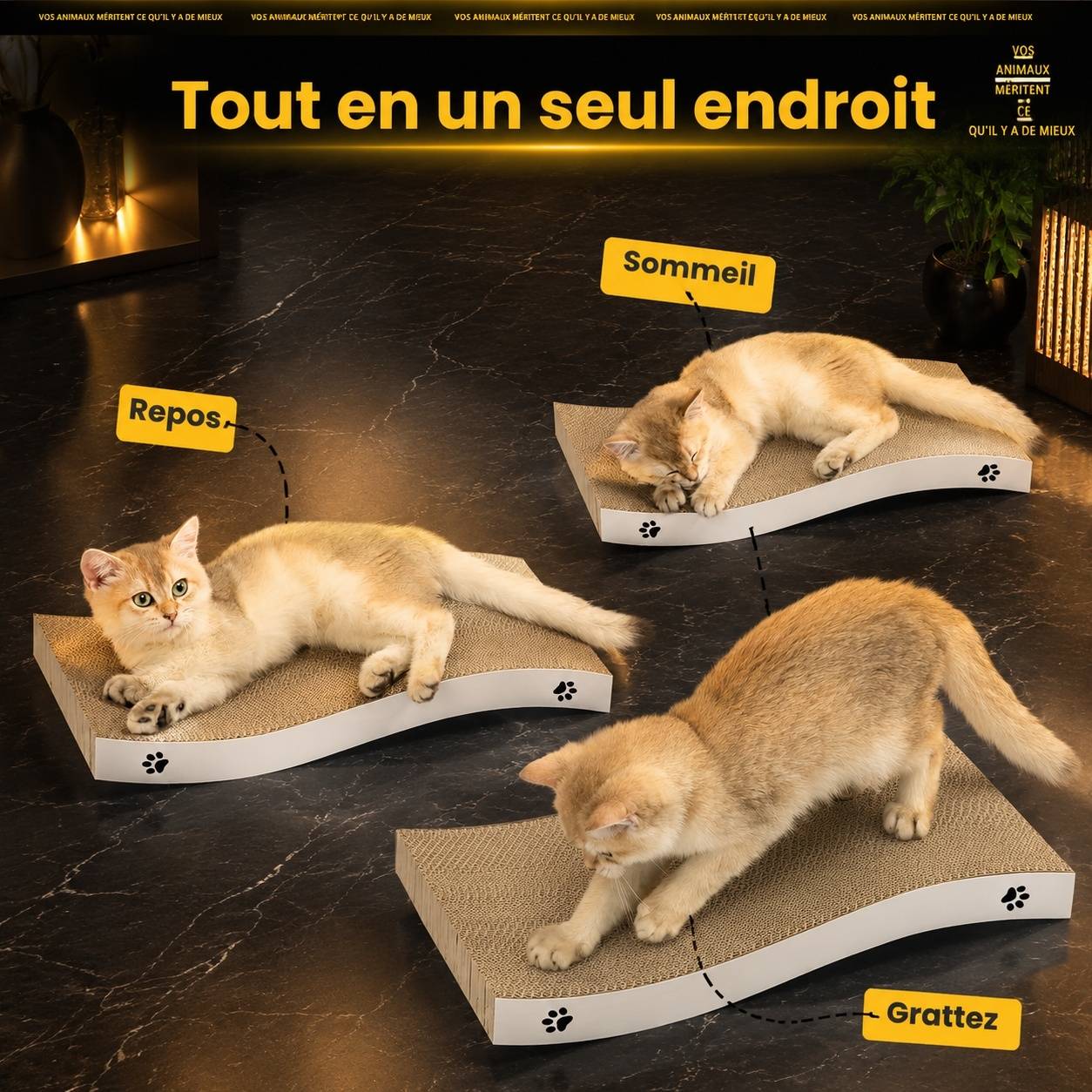 Grattoir pour Chat Carton Double Face Texturé Durable Économique - Image 7