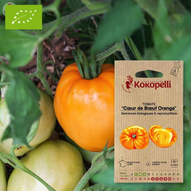Tomate Cœur de Bœuf Orange- Graines bio à semer - Imagen 1