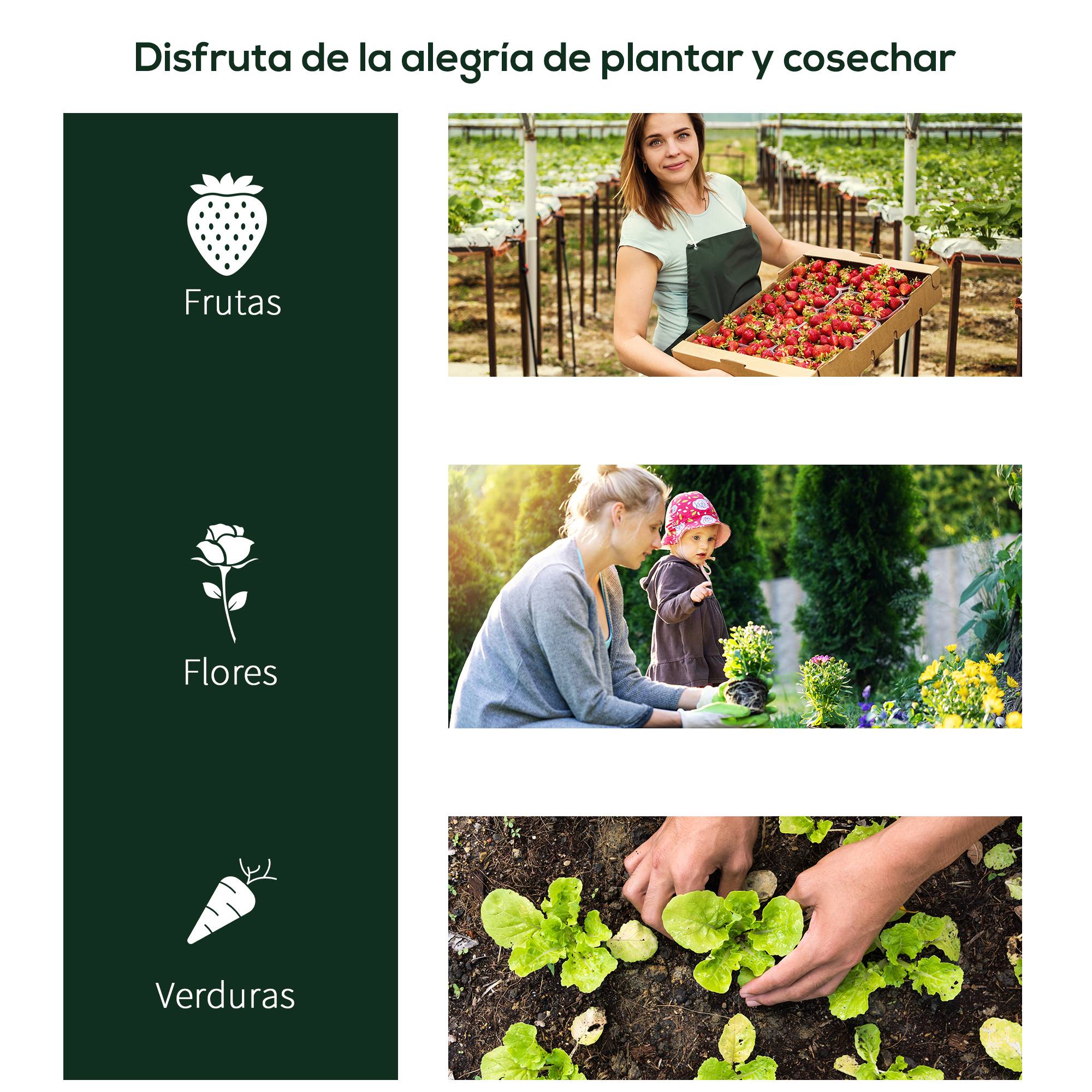 Mini Serre Tunnel de Forçage Acier et Housse PVC pour Carré Potager 2,5x1x0,8 m Transparent - ComfortXL Outdoor Living - Image 8