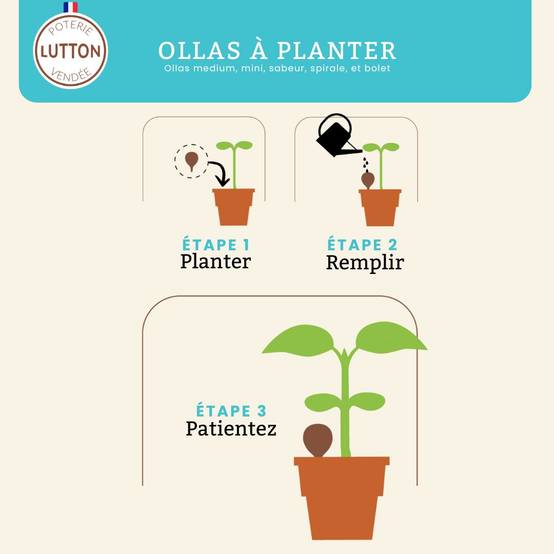 Ollas Lutton - Ollas sabeur nature - Image 6