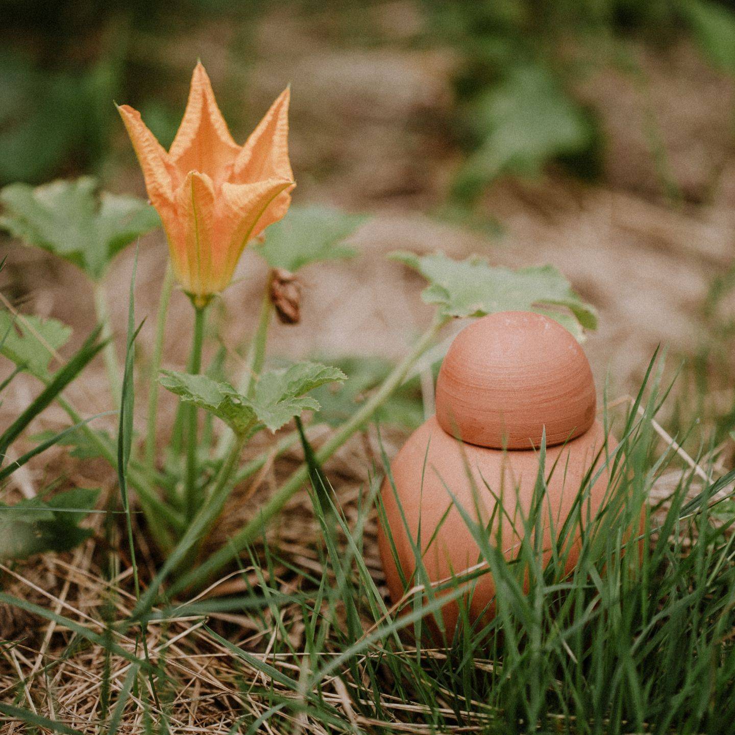 Ollas Lutton - Ollas sabeur nature - Imagen 4