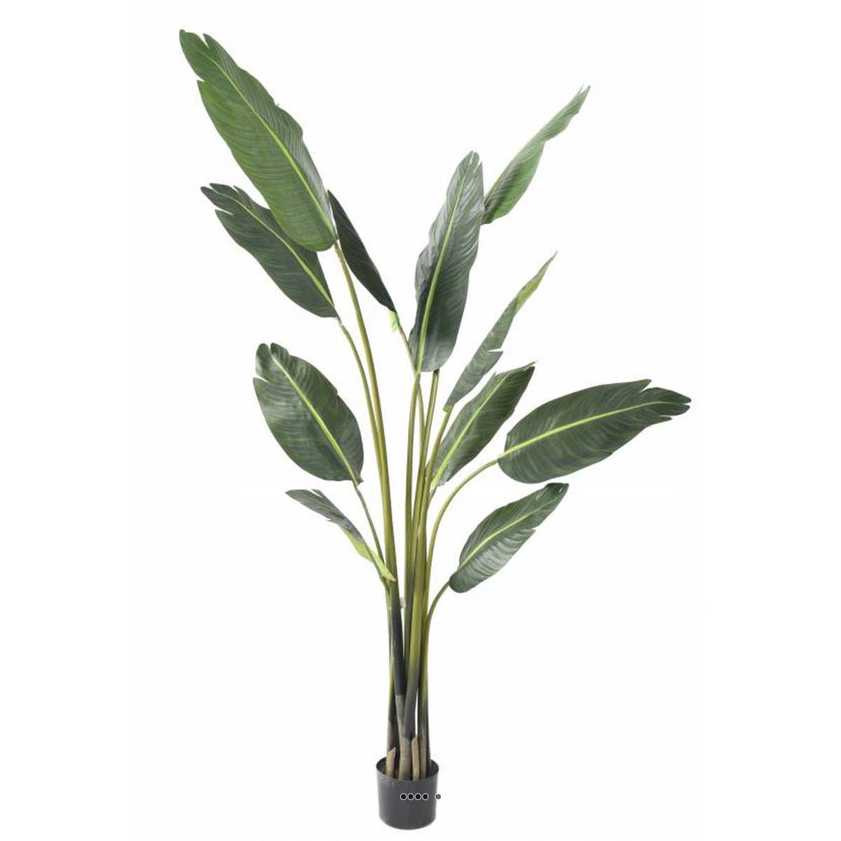 Artificielles - Palmier Arbre du voyageur artificiel H 195 cm en pot 10 feuilles