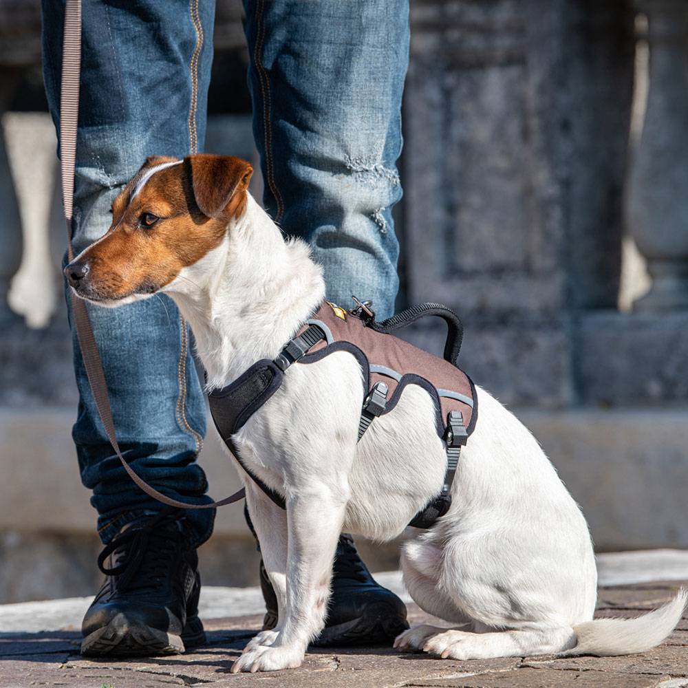 Ferplast - Ferplast Harnais Chien Réglable S Poitrail 46-56 cm avec Poignée, Marron - Imagen 2