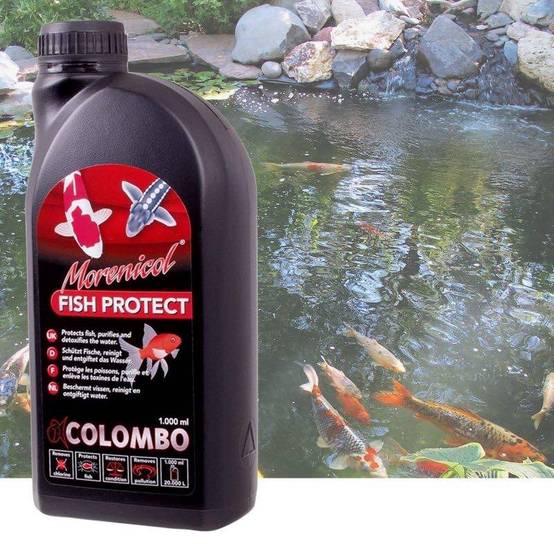 Produit Protégeant Koï Et Poissons De Bassin De Jardin : 1000 ml