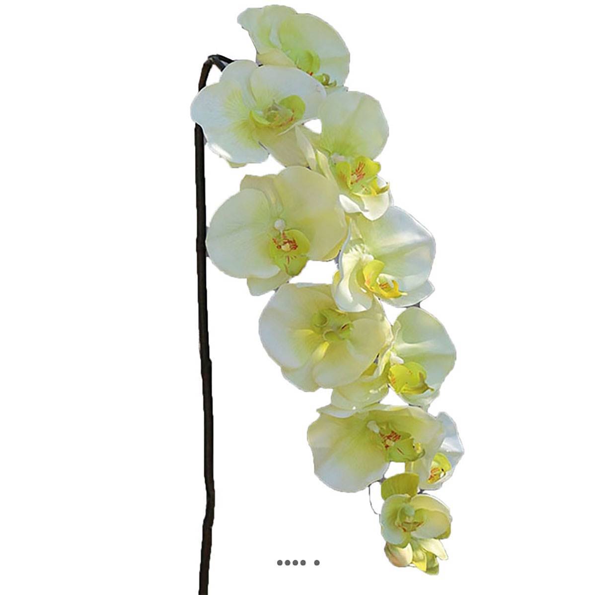 Artificielles - Superbe tige d'orchidée artificielle toucher réel 10 fleurons 110 cm Crème vert - couleur: Crème vert - Imagen 2