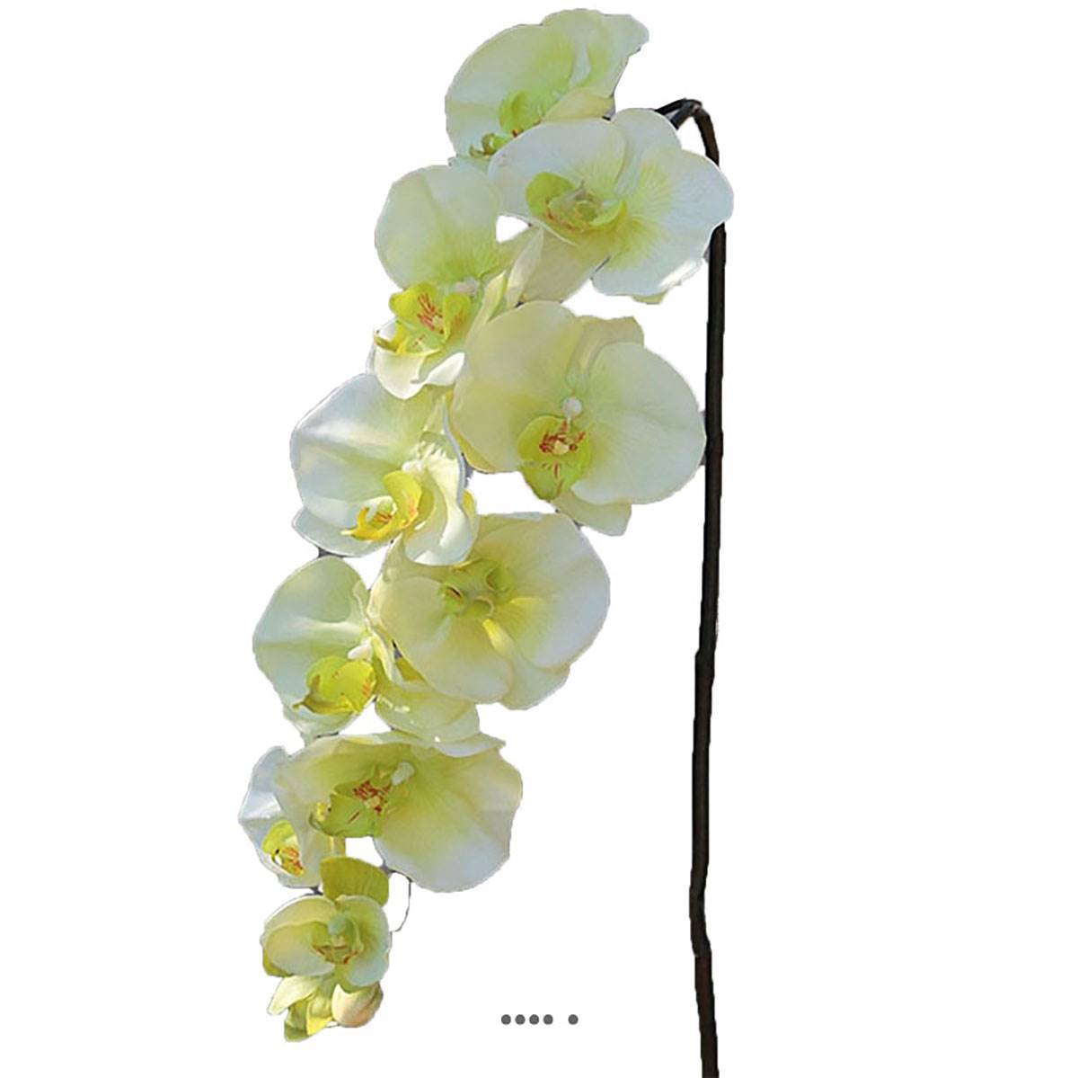 Artificielles - Superbe tige d'orchidée artificielle toucher réel 10 fleurons 110 cm Crème vert - couleur: Crème vert - Imagen 1