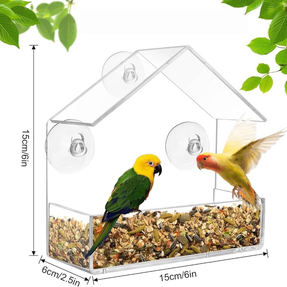 Mangeoire à oiseaux transparente - IntiMeg - Image 2