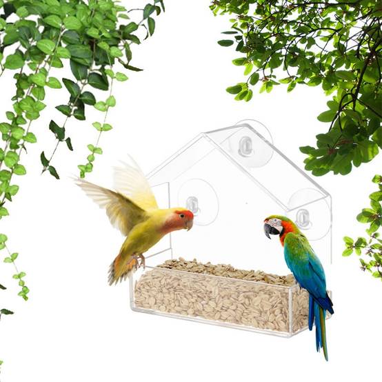 Mangeoire à oiseaux transparente - IntiMeg - Image 1