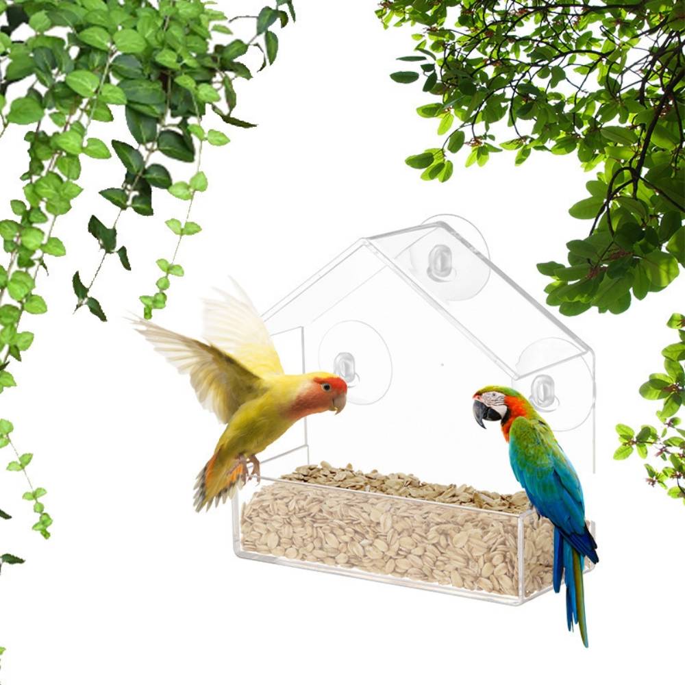 Mangeoire à oiseaux transparente - IntiMeg
