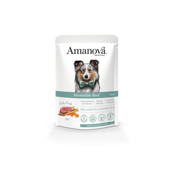 Pâtée chien sans céréales au bœuf Amanova 300 g