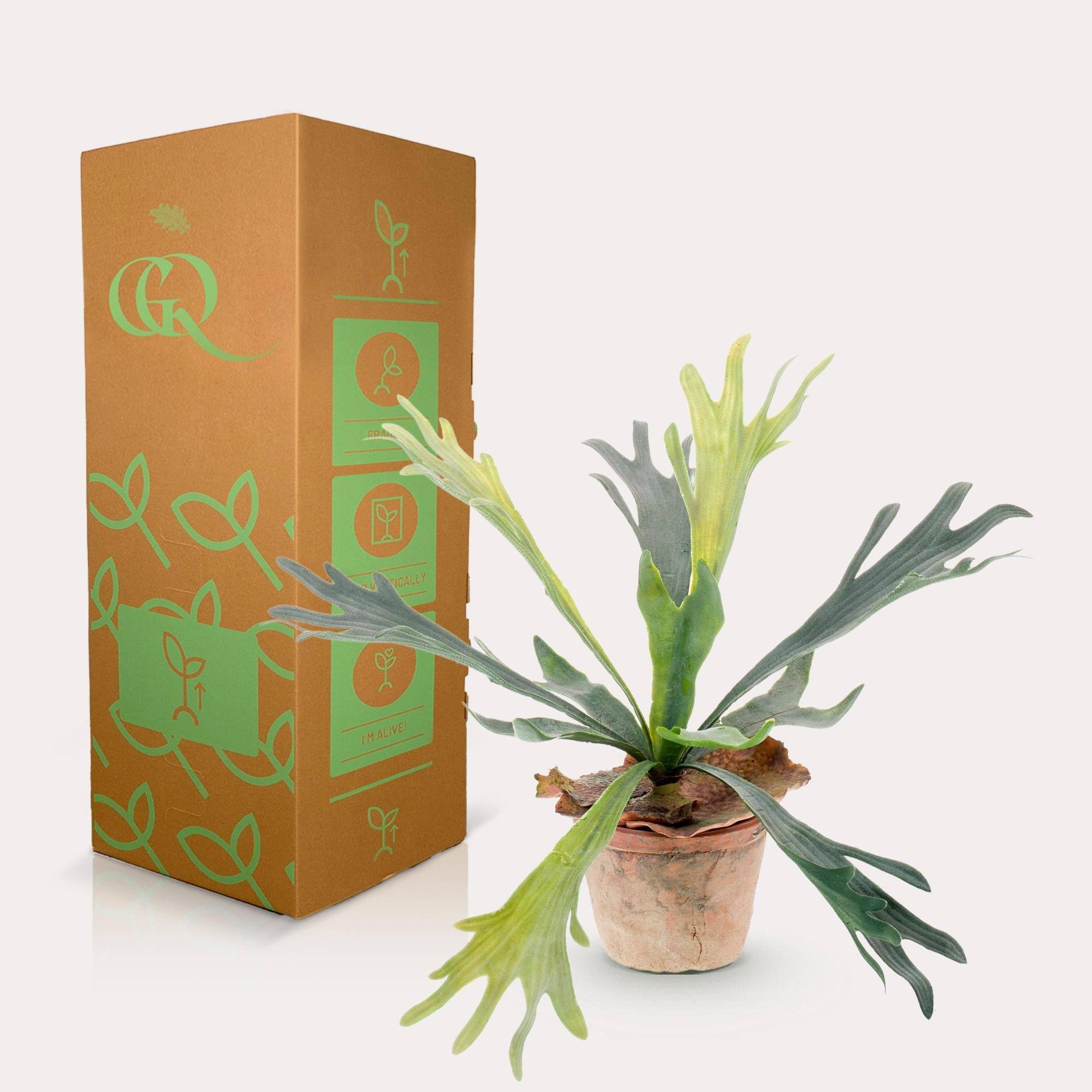 La Green Touch - Platycerium plante artificielle - h33cm, Ø15cm- La Green Touch - Imagen 3