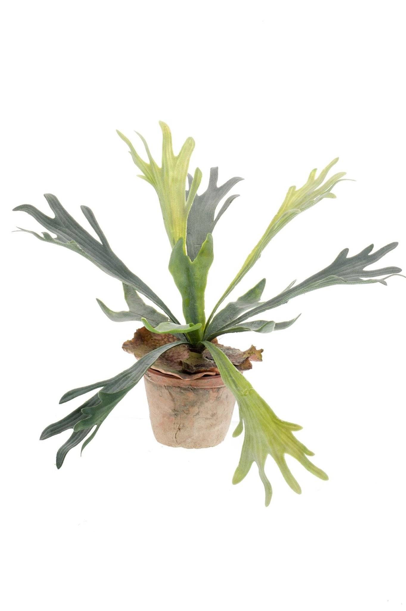 La Green Touch - Platycerium plante artificielle - h33cm, Ø15cm- La Green Touch - Imagen 5