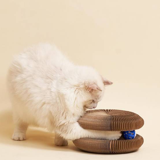 Jouet Griffoir pour Chat - Accordéon Pliable + Balle Interactive - Carton Recyclé Ultra-Résistant - Living123 - Image 3