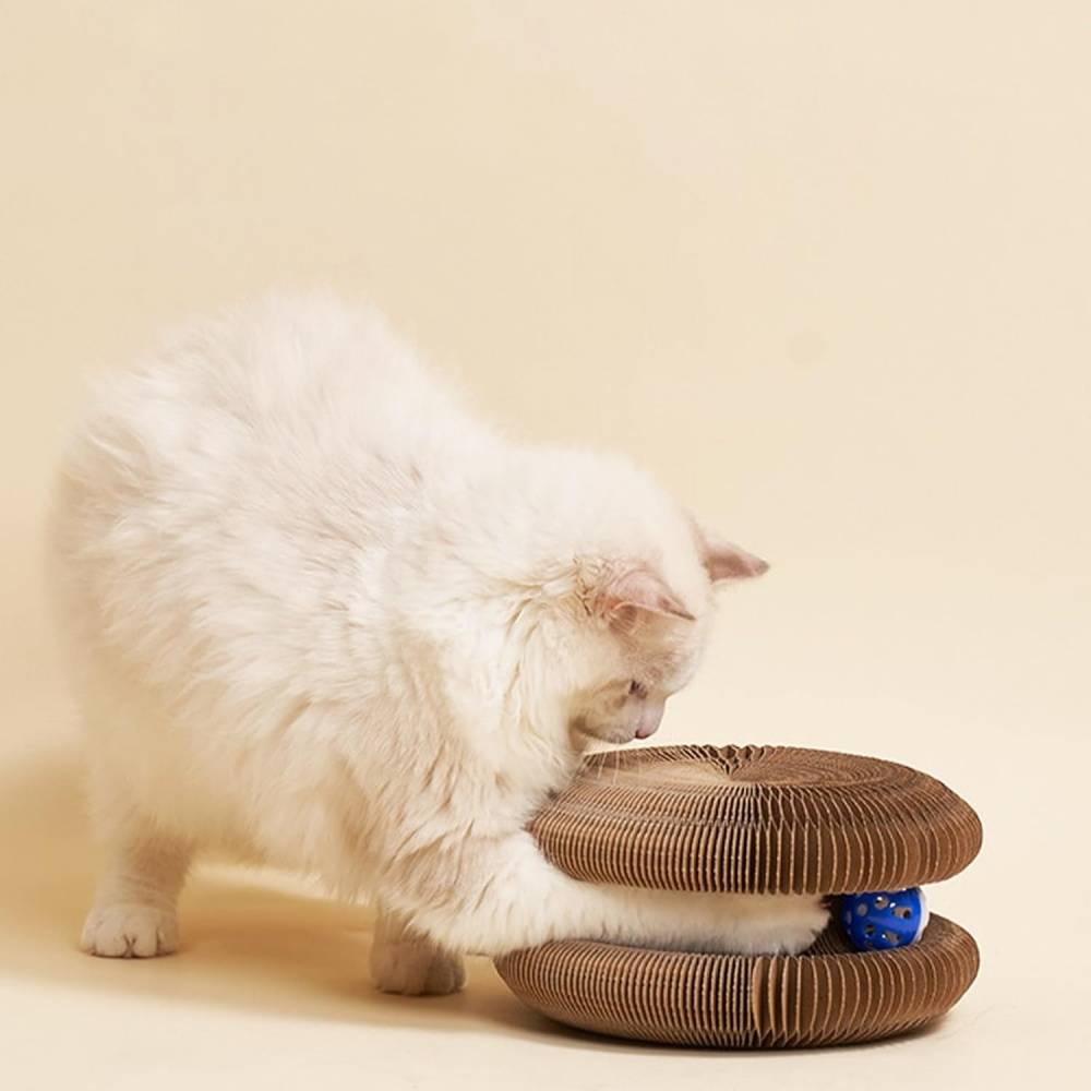 Jouet Griffoir pour Chat - Accordéon Pliable + Balle Interactive - Carton Recyclé Ultra-Résistant - Living123 - Image 3