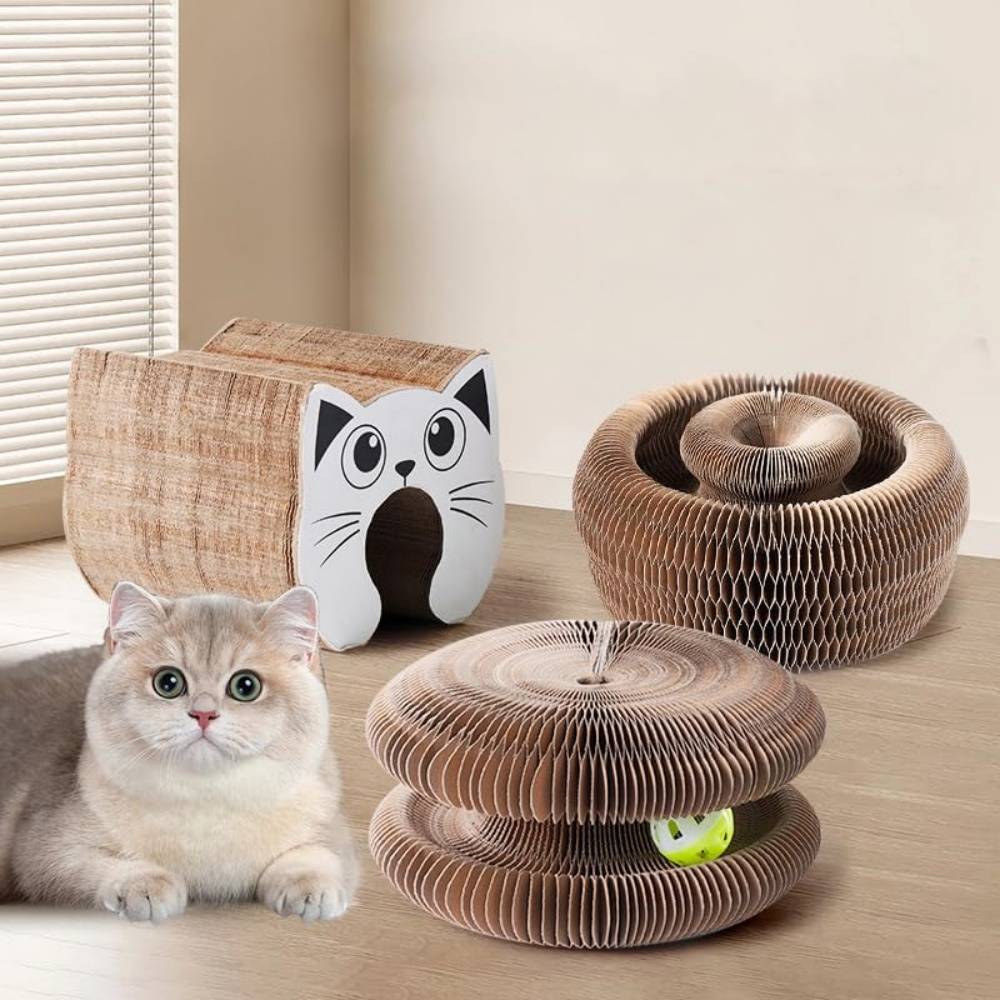 Jouet Griffoir pour Chat - Accordéon Pliable + Balle Interactive - Carton Recyclé Ultra-Résistant - Living123 - Image 2