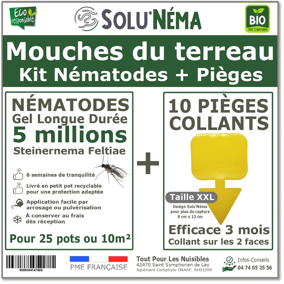Tout pour les nuisibles - Solunéma - Kit Nématodes 5 millions + 10 pièges collants XXL - Contre Les Mouches du Terreau - pour traiter 25 pots