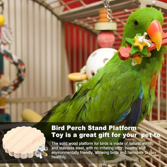 DtopbuyAge - Perchoir en Bois Pour Cage d'Oiseaux Jouet - Image 3