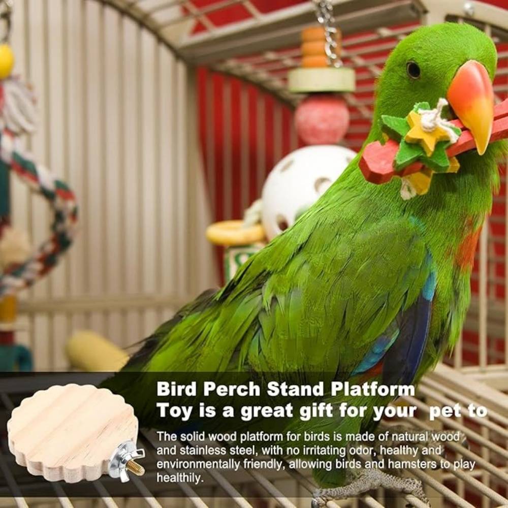 DtopbuyAge - Perchoir en Bois Pour Cage d'Oiseaux Jouet - Image 3