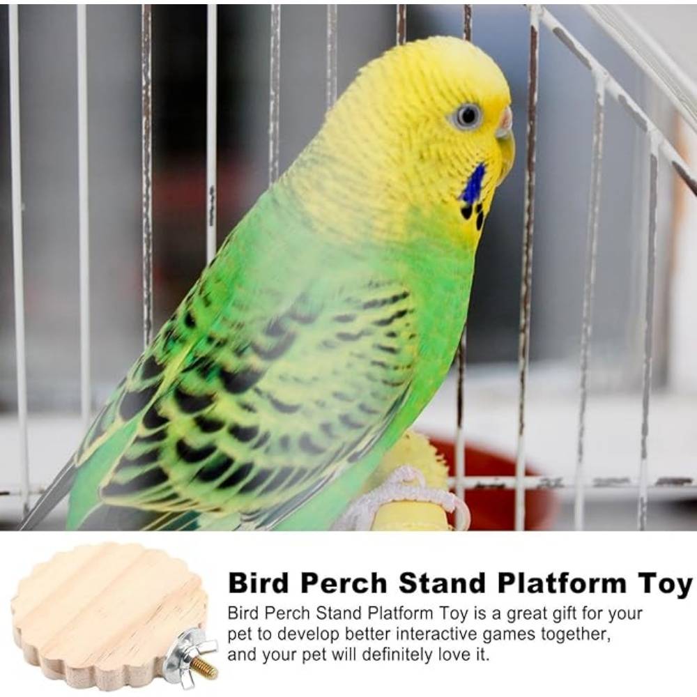 DtopbuyAge - Perchoir en Bois Pour Cage d'Oiseaux Jouet - Image 2