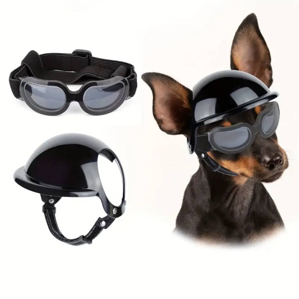 IntiMeg - Ensemble de lunettes et casque pour chien IntiMeg - Image 2