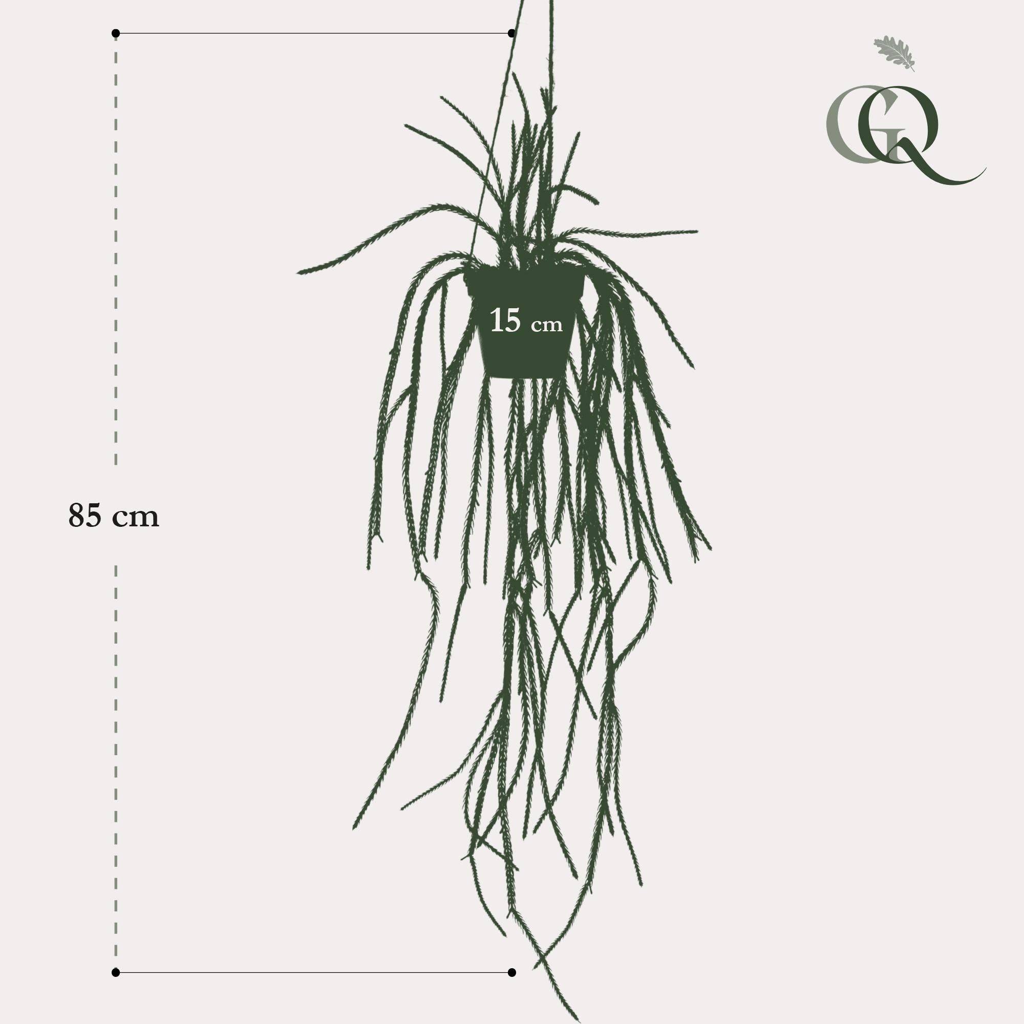La Green Touch - Rhypsalis Coral Cactus plante artificielle - h85cm, Ø15cm- La Green Touch - Imagen 5
