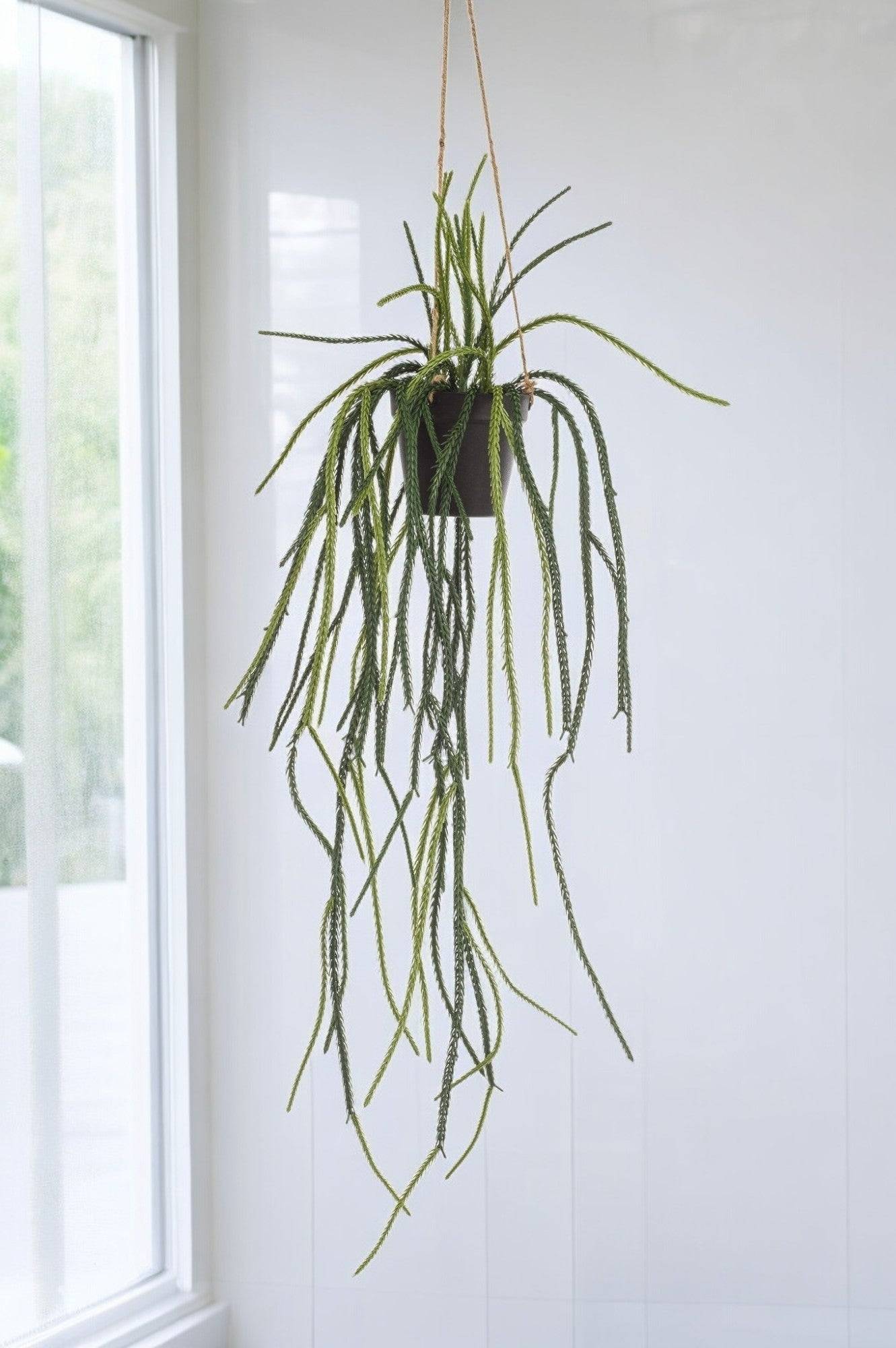 La Green Touch - Rhypsalis Coral Cactus plante artificielle - h85cm, Ø15cm- La Green Touch - Imagen 1