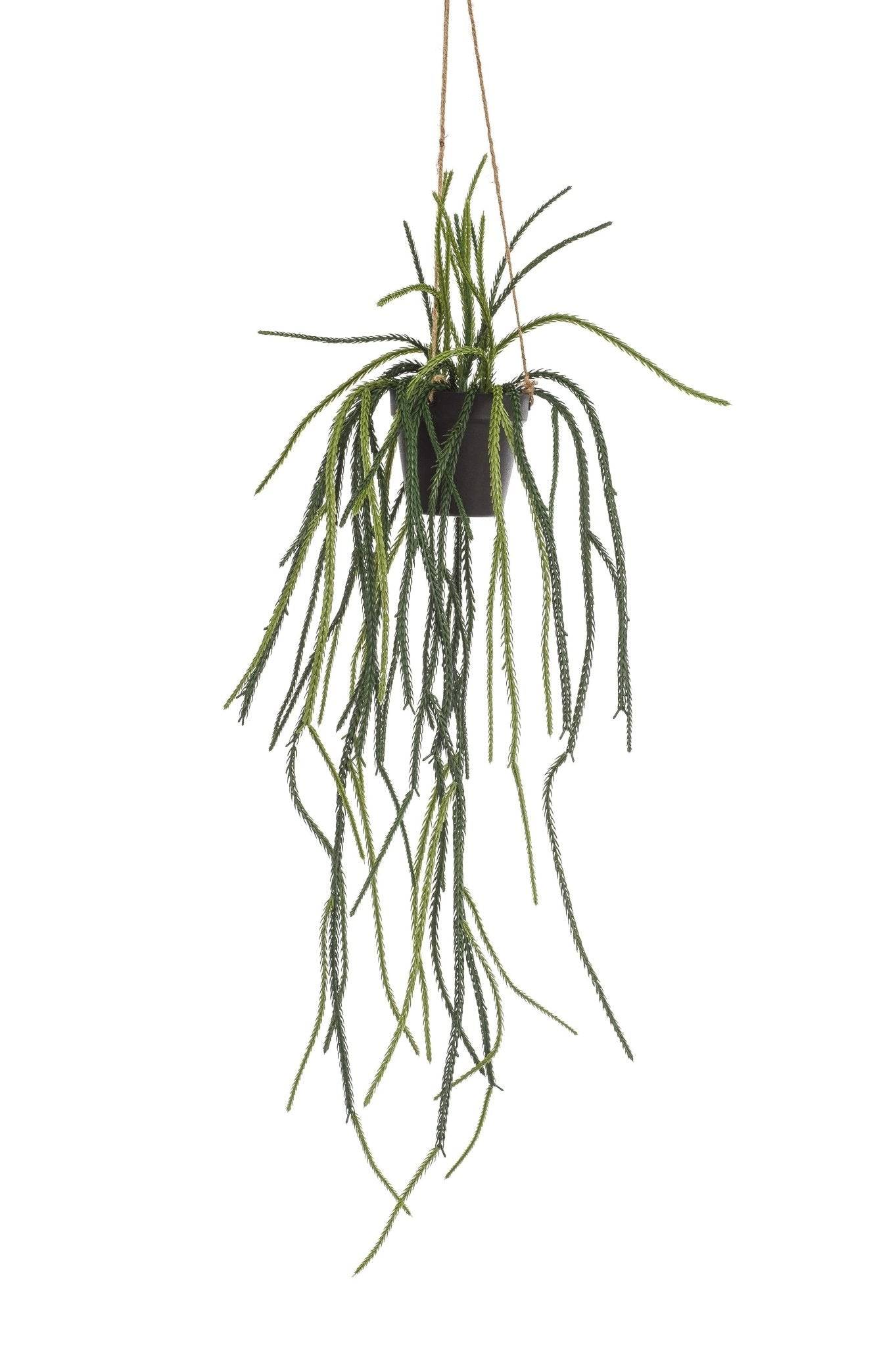 La Green Touch - Rhypsalis Coral Cactus plante artificielle - h85cm, Ø15cm- La Green Touch - Imagen 4
