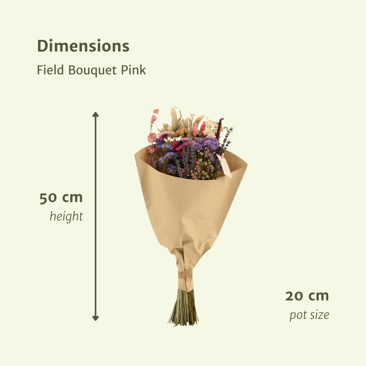 PANGIVO - Bouquet de fleurs séchées rose 20 x 20 x 50 cm - PANGIVO - Image 2
