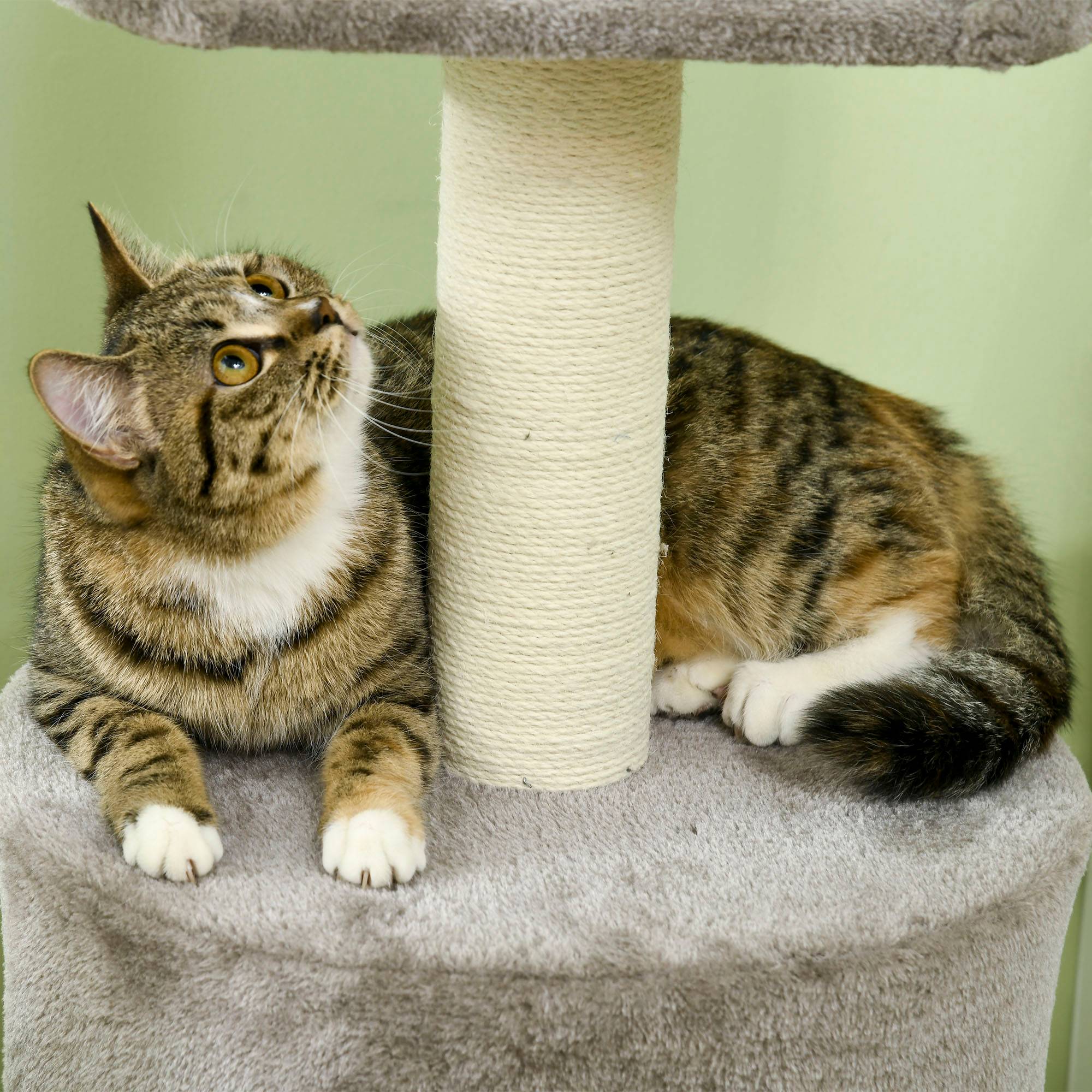 Pawhut - Arbre à chat griffoirs sisal naturel arbre à grimper H.103 cm niche plateforme d'observation peluche grise - Imagen 9