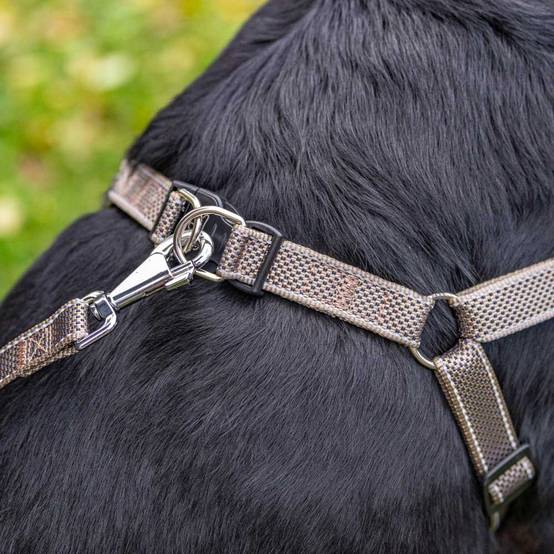 Ferplast - Harnais pour Chien Grande Taille Réfléchissant DAYTONA DELUXE EXTRA LARGE, Rembourré, Noir-Vert - Imagen 6