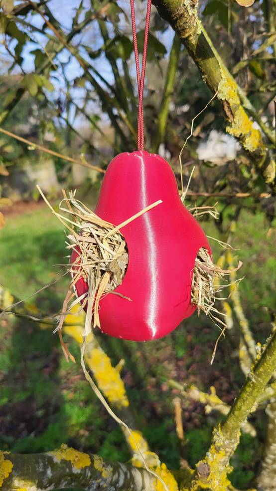 PYRÉA NIDIFICA – Le fruit qui aide la nature à tisser ses nids