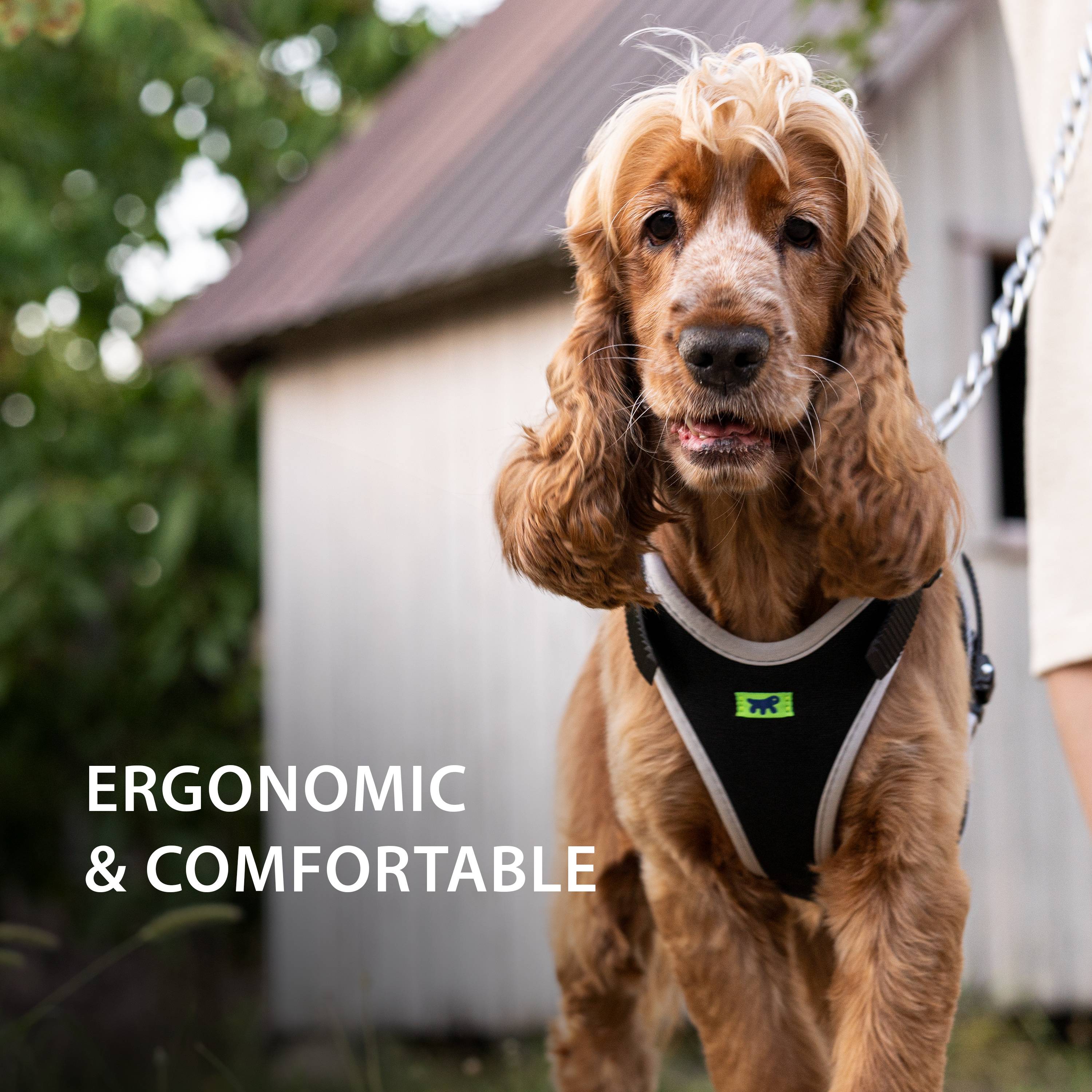 Ferplast - Ferplast Harnais pour Chien Petite Taille ERGOCOMFORT SMALL, Harnais pour Chien Ajustable, Confortable, Rembourré, Fermeture Double Micro-ajustement, - Imagen 5