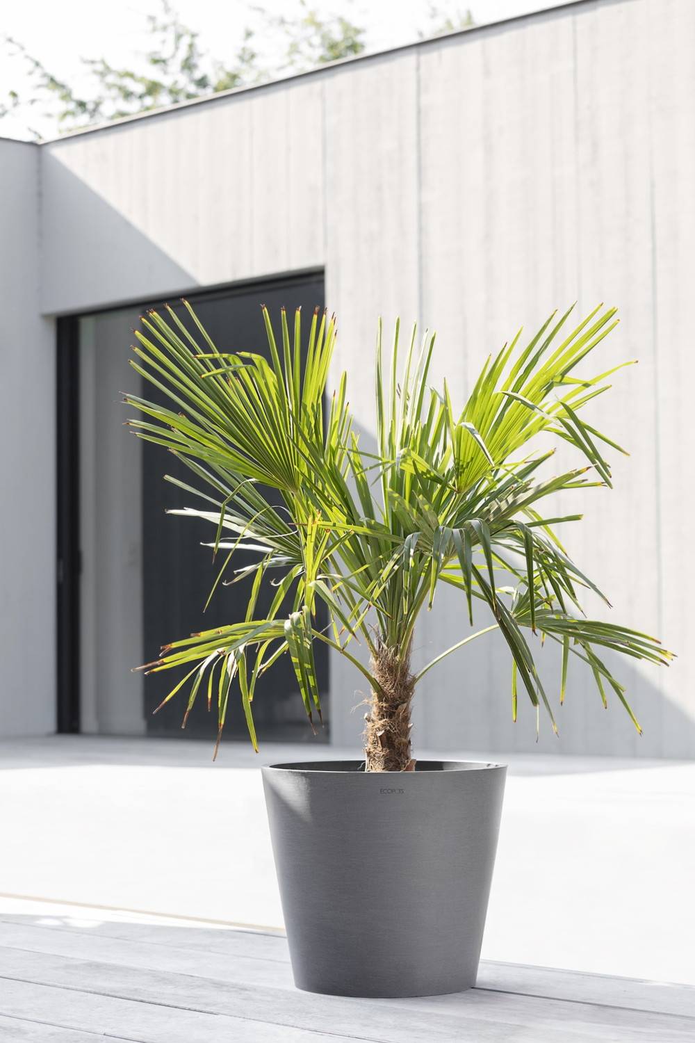 Ecopots - Pot Rond Amsterdam 40 Gris + réservoir d'eau - Ø 40 x H. 35 cm - 28 L ECOPOTS - Imagen 4