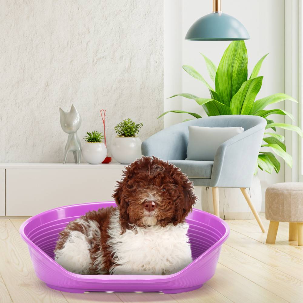 Ferplast - FERPLAST - Panier Chien - Lit pour Chien en Plastique Medium - 100% Plastique Recyclé - Lit pou Chat Lavable - Respirant Antidérapant - Siesta - Imagen 4