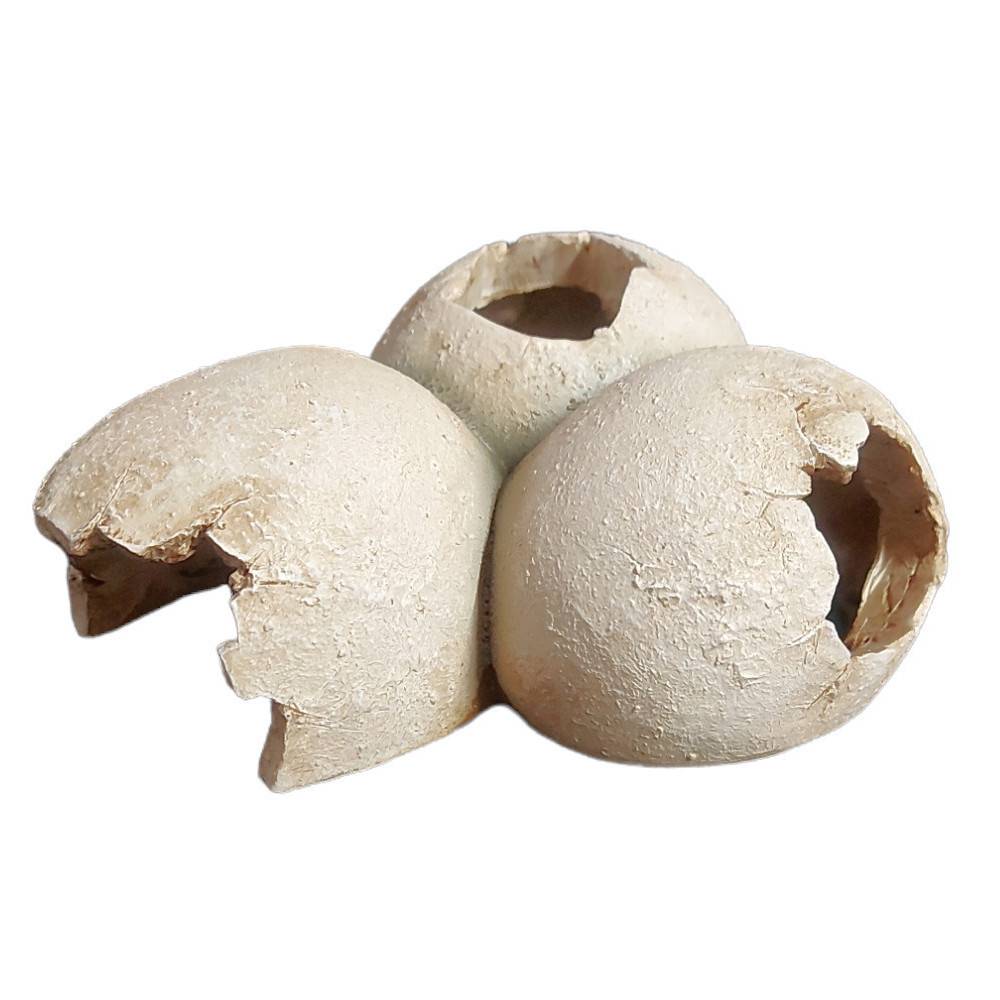 Trixie - Grotte en motif coquille d'œuf 15 x 6 x 12 cm pour reptiles - Imagen 1