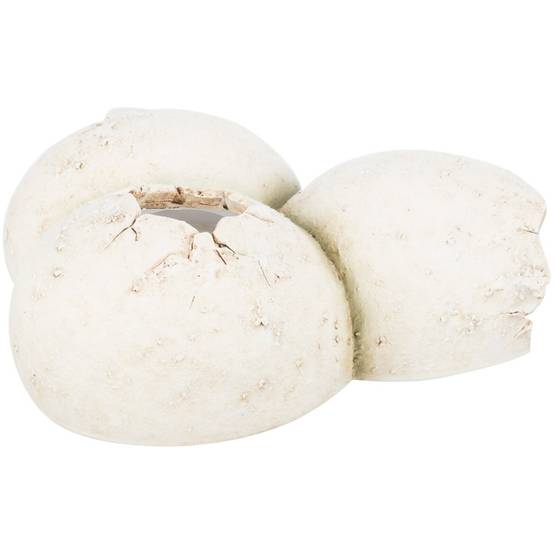 Trixie - Grotte en motif coquille d'œuf 15 x 6 x 12 cm pour reptiles - Image 4