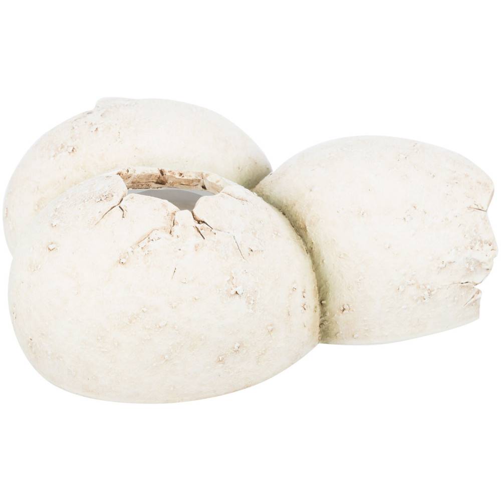 Trixie - Grotte en motif coquille d'œuf 15 x 6 x 12 cm pour reptiles - Imagen 4